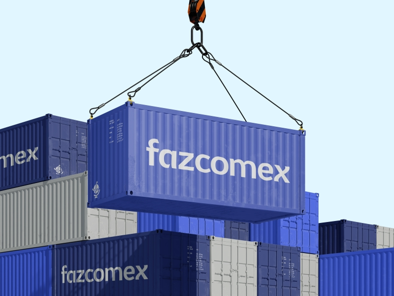 Comissária de Despacho